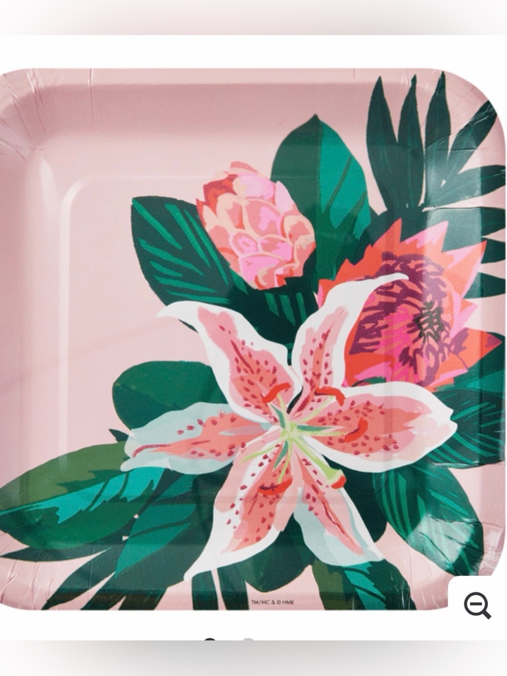 Floral Pink Paper Party Plates - Pack Set of 5